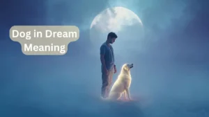 Dog in Dream Meaning