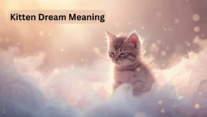 Kitten Dream Meaning