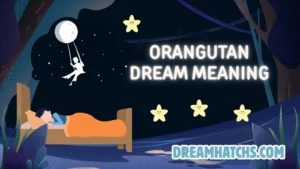 Orangutan Dream Meaning