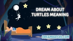 Dream About Turtles Meaning